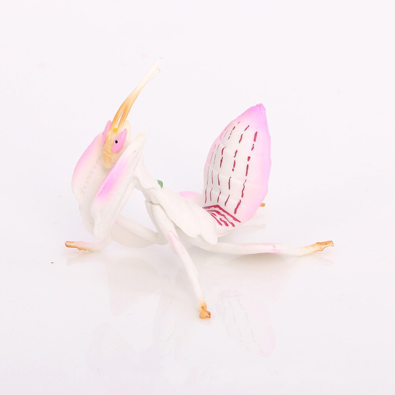 Orchid Kids Education - Modelo de brinquedo animal realista rosa