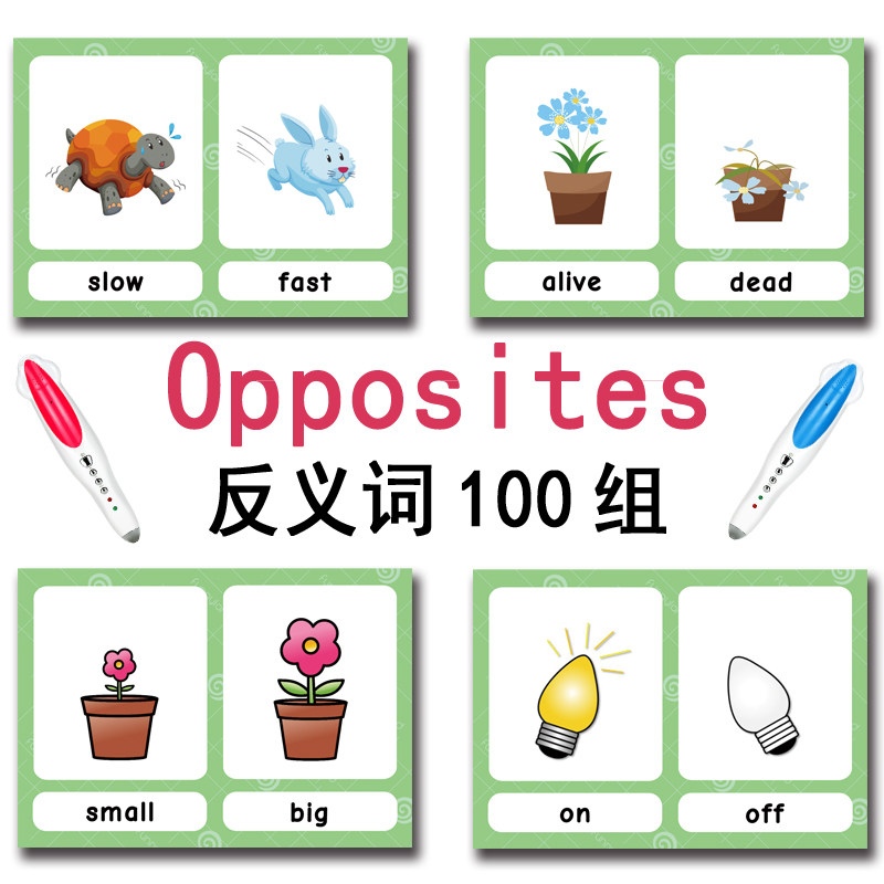 100 Cartões de Vocabulário em  - Kids Educational Resources avaliação e preço