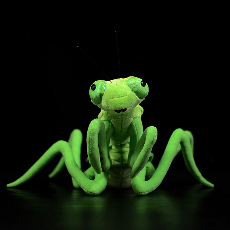 Brinquedo de pelúcia Mantis de - Orchid Kids Education avaliação e preço