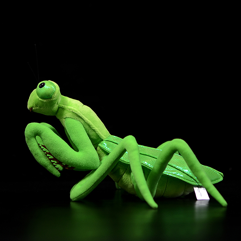 Brinquedo de pelúcia Mantis de - Orchid Kids Education avaliação e preço