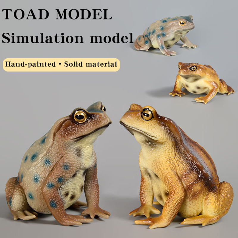 Figura de Sapo Anfíbio, Modelo - Kids First Education avaliação e preço