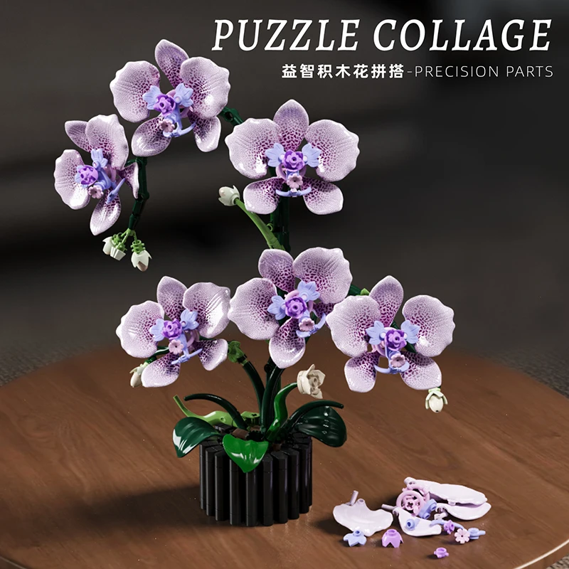 Blocos de construção de modelo - Orchid Kids Education avaliação e preço