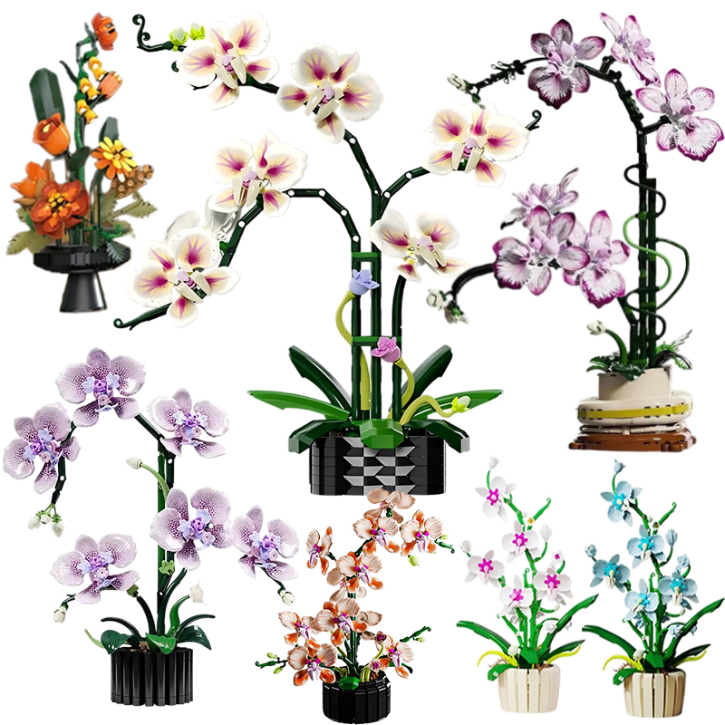 Blocos de construção de modelo - Orchid Kids Education avaliação e preço