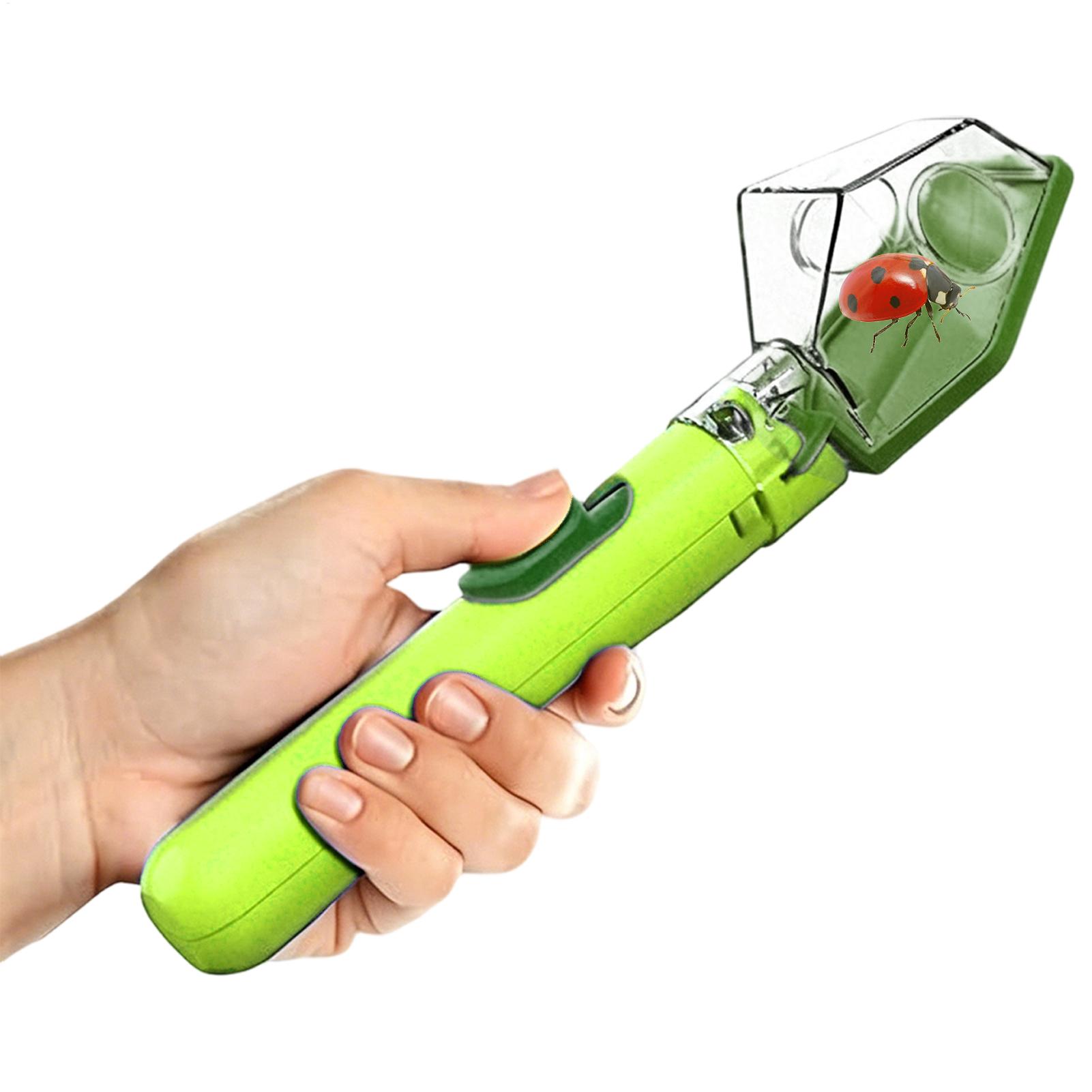 Caixa Observadora Transparente - Kids Outdoor Education avaliação e preço