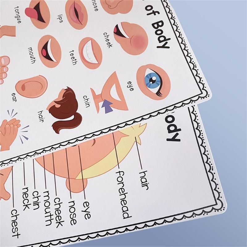 Divertido gráfico interativo p - Kids Educational Poster avaliação e preço