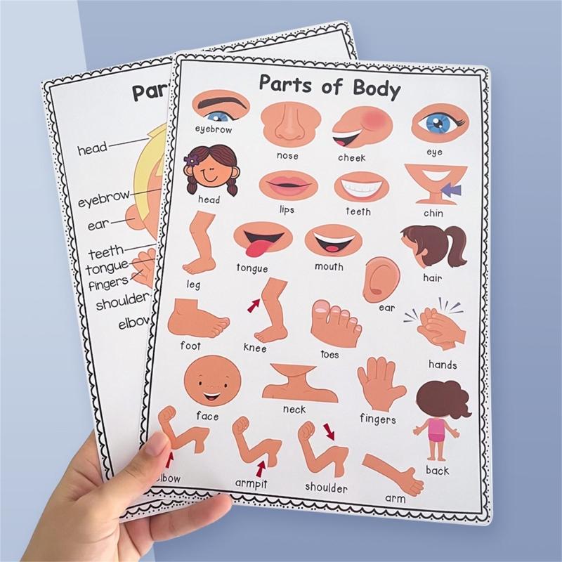 Divertido gráfico interativo p - Kids Educational Poster avaliação e preço