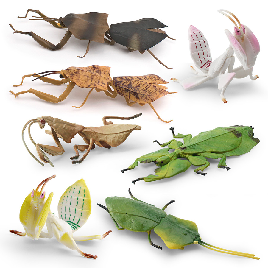 Modelo Realista de Mantis Orqu - Orchid Kids Education avaliação e preço