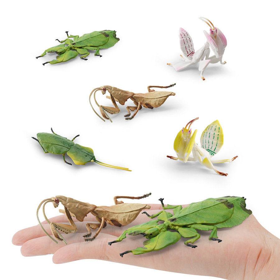 Modelo Realista de Mantis Orqu - Orchid Kids Education avaliação e preço