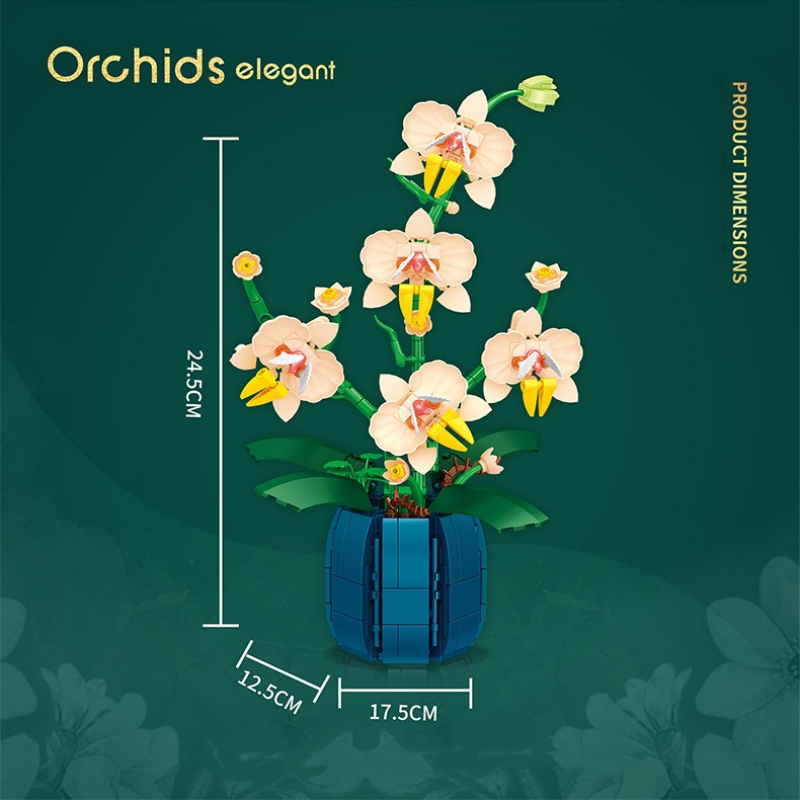 Orquídea em vaso Bouquet Build - Orchid Kids Education avaliação e preço